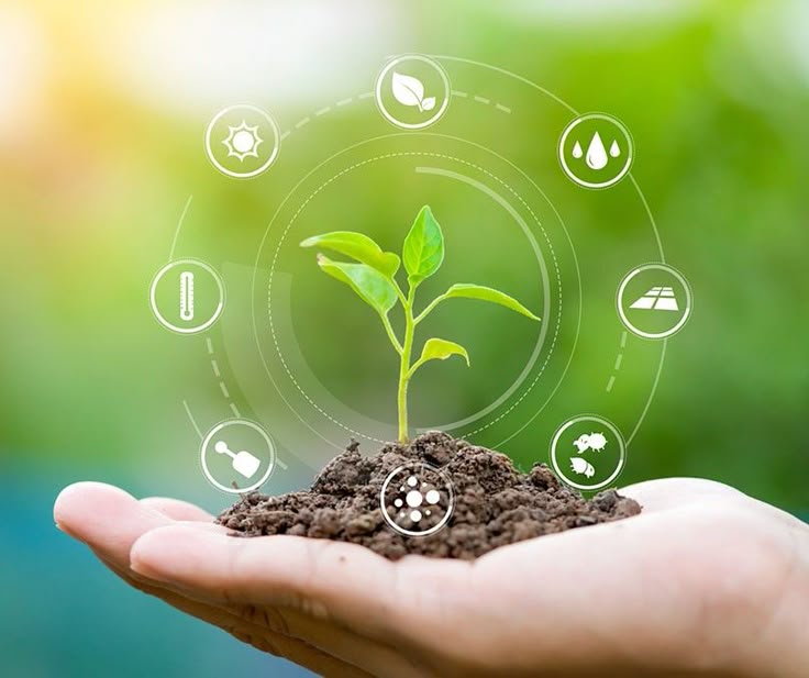 Farmers using AgriVerse technology